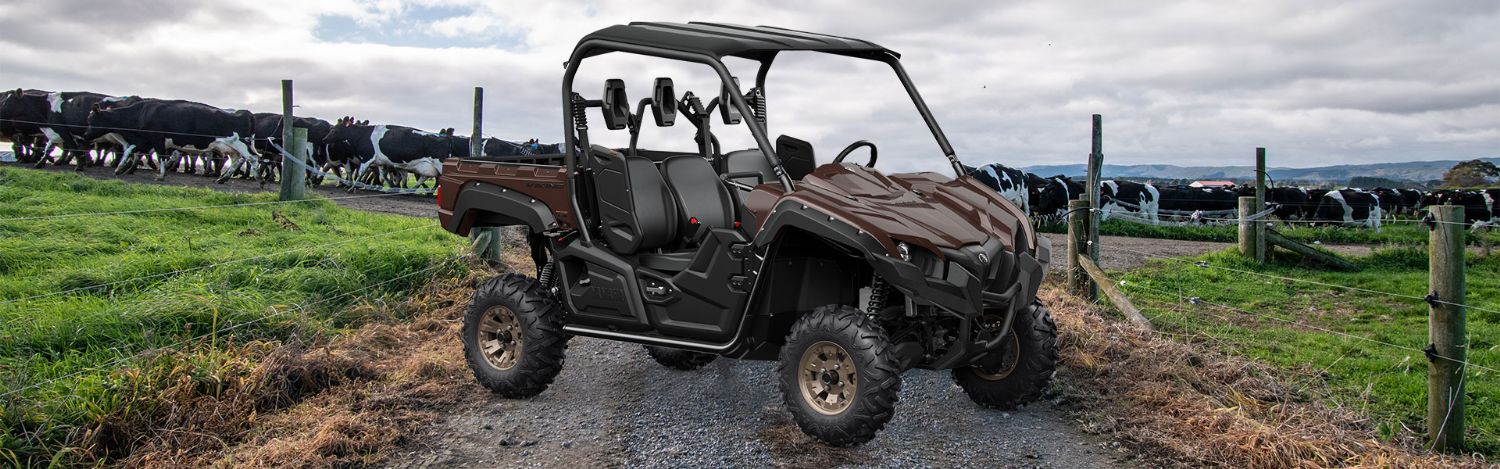 yamaha-viking-se